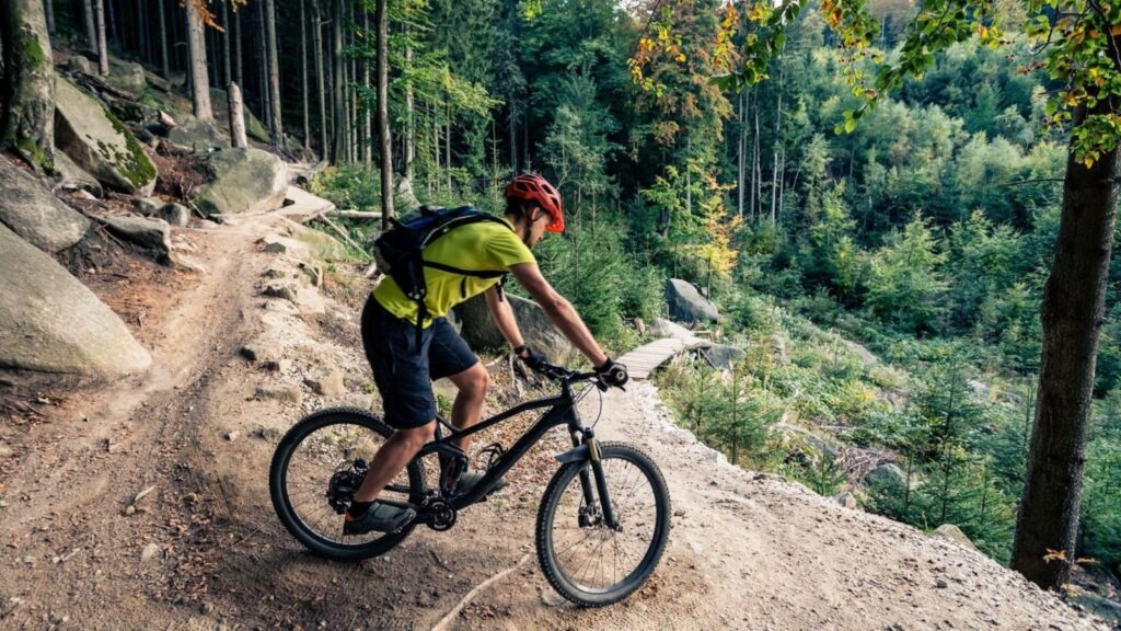 Ready for an adventurous trail? 8 best mountain bikes of 2025 to improve cardiovascular health