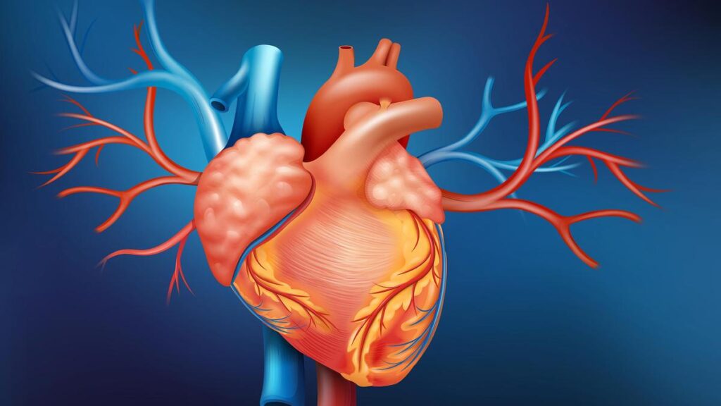 Study links bright light at night with 56 % higher risk of heart failure