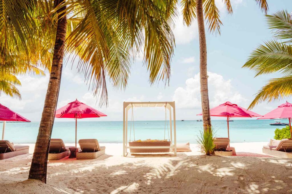 The Essential Guide to Baa Atoll in the Maldives