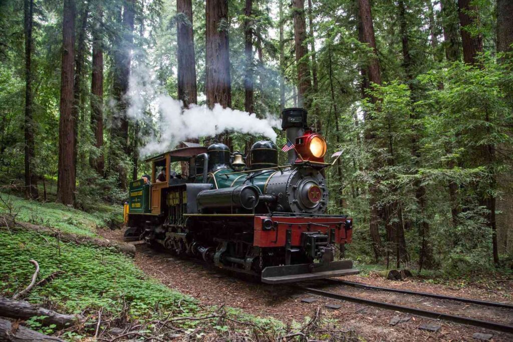 This Scenic Train Ride Winds Through California’s Majestic Redwoods and Ends at the Pacific Ocean This Scenic Train Ride Winds Through California’s Majestic Redwoods and Ends at the Pacific Ocean