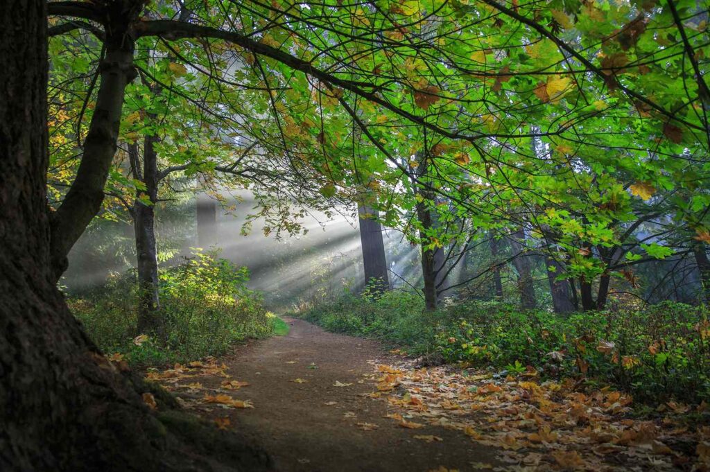 This Was the First Urban Quiet Park in the U.S.