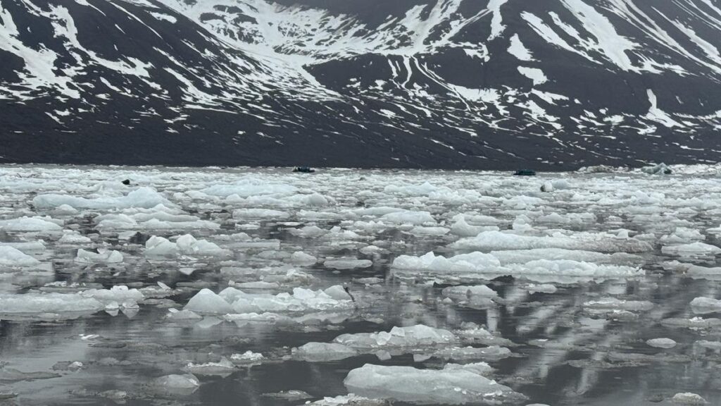 Three Chennai retirees travel to both ends of the Earth