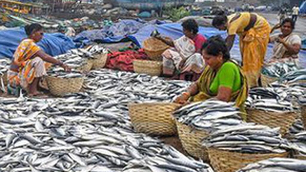 To counter trade ban, fisheries sector eyes new markets with eco-friendly label