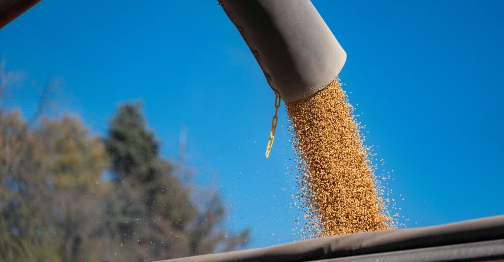 US farmers are struggling to sell soybeans. Here’s how to think about the trade war.