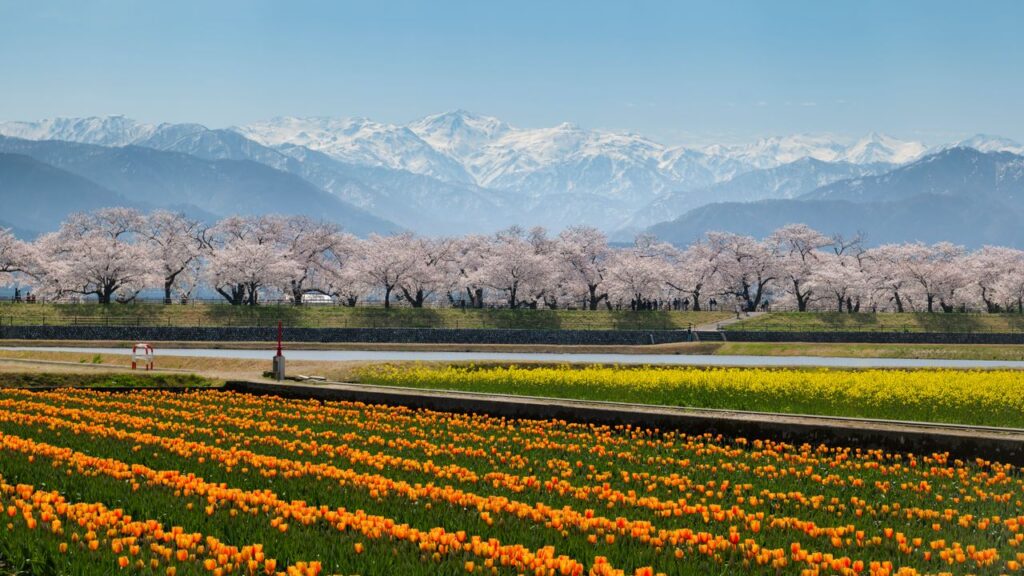 Condé Nast Traveler