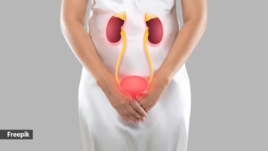 ‘My urine has been quite foamy, does it mean my kidneys are damaged?’ | Health News urinary