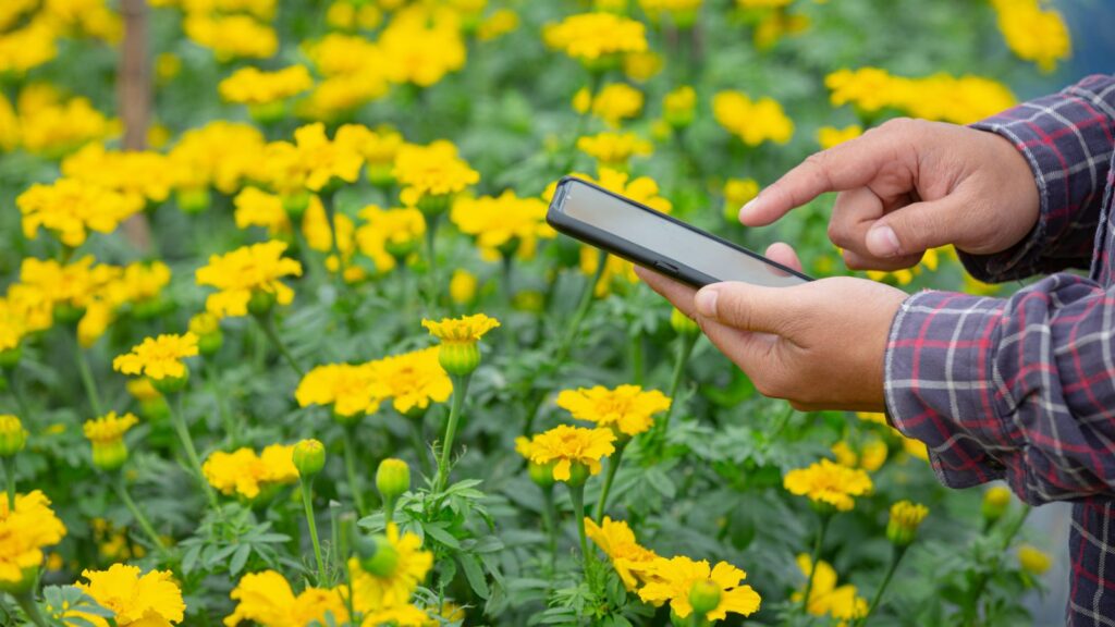 ‘Voice-first AI platform will make digital governance accessible to all’: Wadhwani Foundation’s Prakash Kumar | Technology News UCEP is powered by a secure, government-grade AI stack purpose-built for citizen engagement at scale. (Image for representation/FreePik)